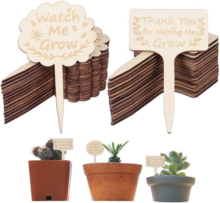 PATAZOK 30 Stk. Pflanzschilder aus holz, T-Typ Pflanzenetiketten zum ...